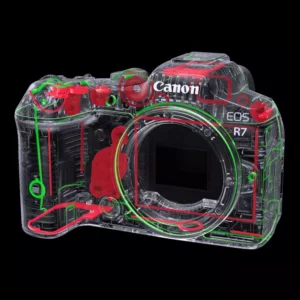 Canon EOS R7 (boîtier nu) – Image 3